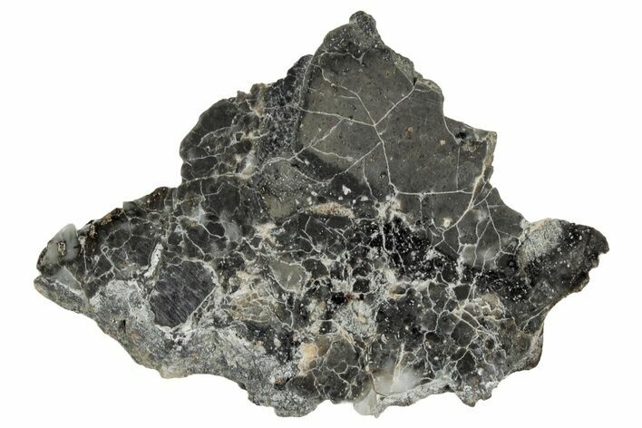 Polished Lunar Meteorite ( g) Slice - Adrar #355996